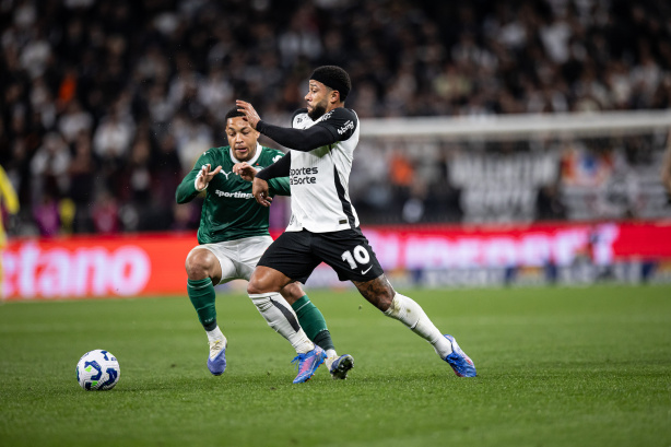 Foto: Ronaldo Barreto / Meu Timão - palmeiras