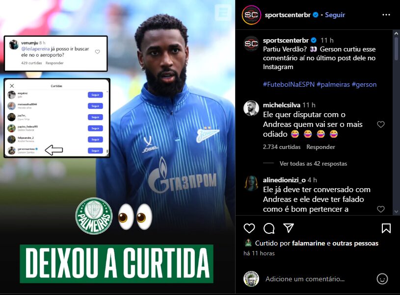 palmeiras