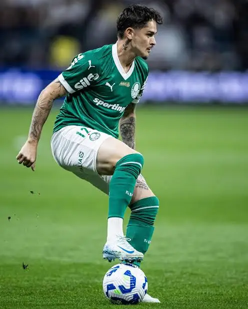 Foto: Redes Sociais - palmeiras
