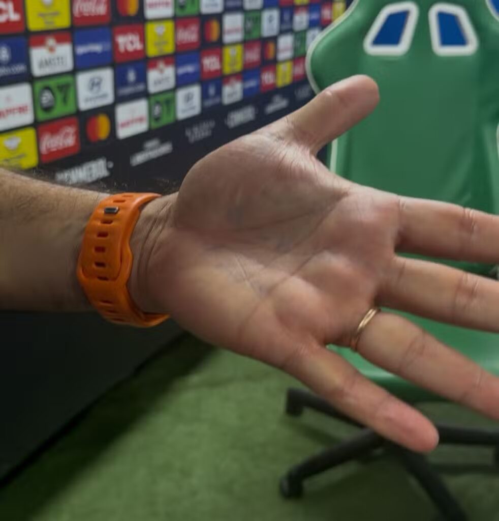 Foto: Camila Alves / GE - Palmeiras