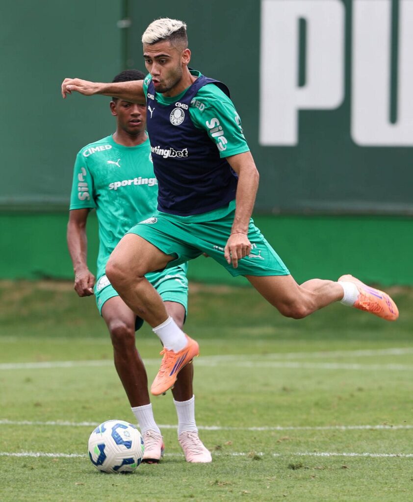 Foto: César Greco / Palmeiras