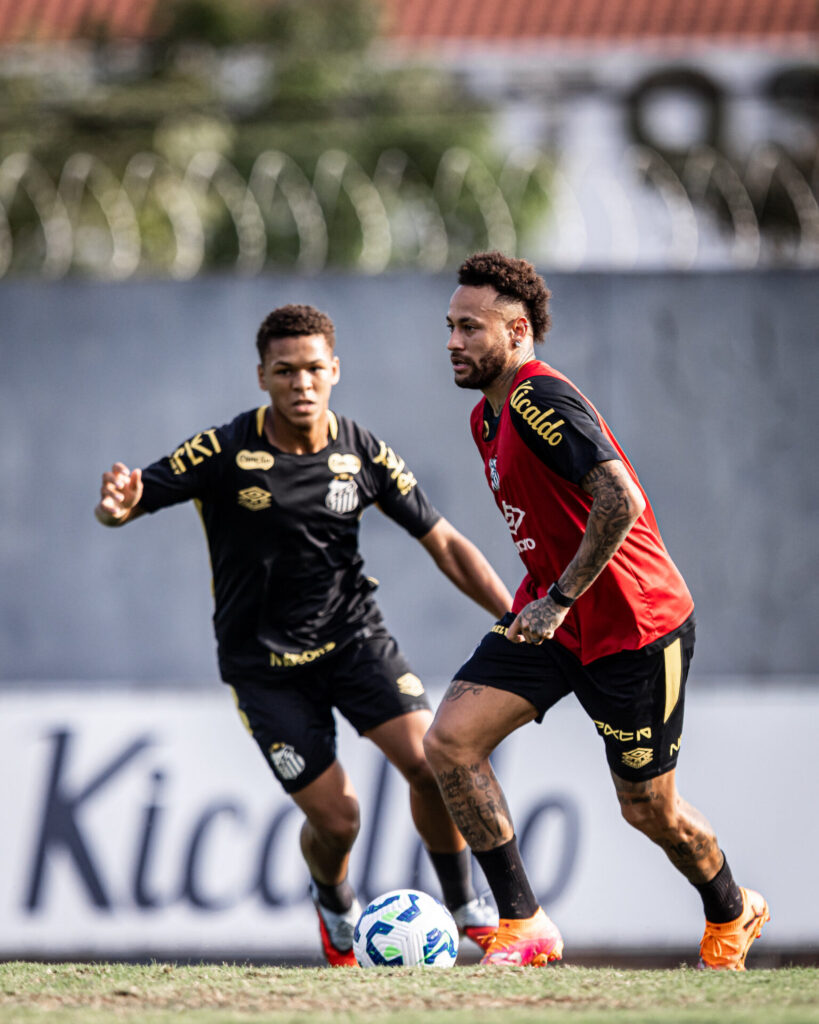 Foto: Raul Baretta / Santos - Palmeiras