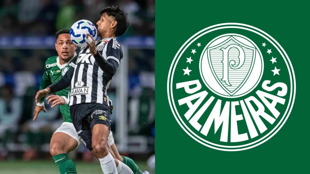 Capas para matérias (37)