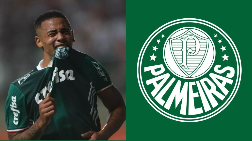 Capas para matérias (4)