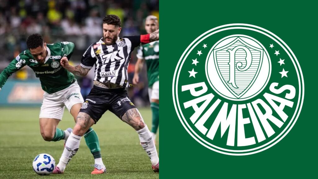 Capas para matérias (41)