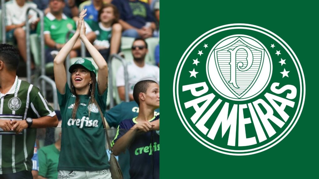 Capas para matérias (43)