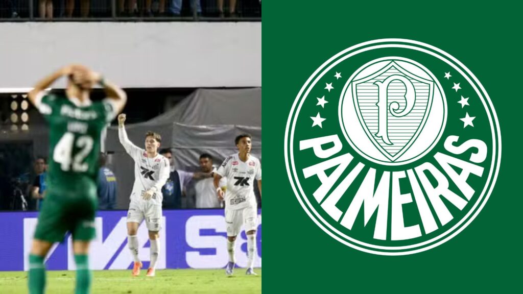 Capas para matérias (44)