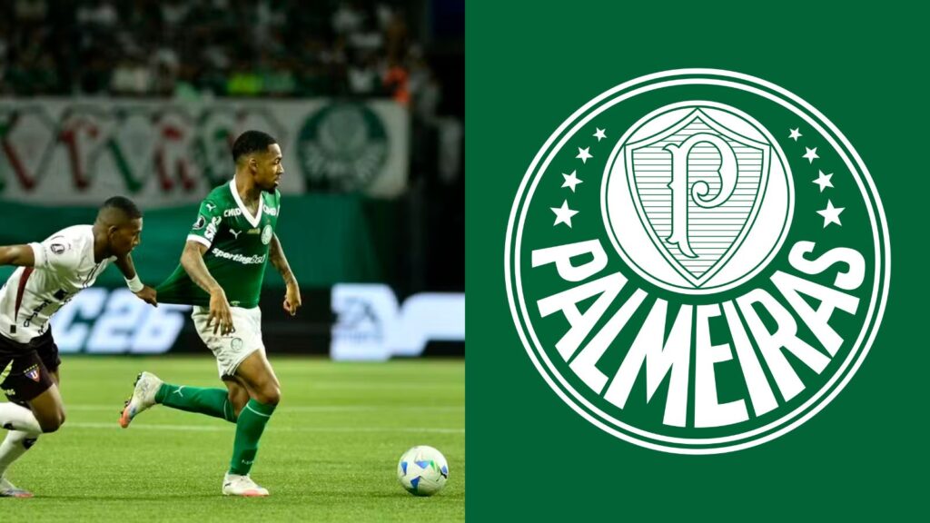 Capas para matérias (44)