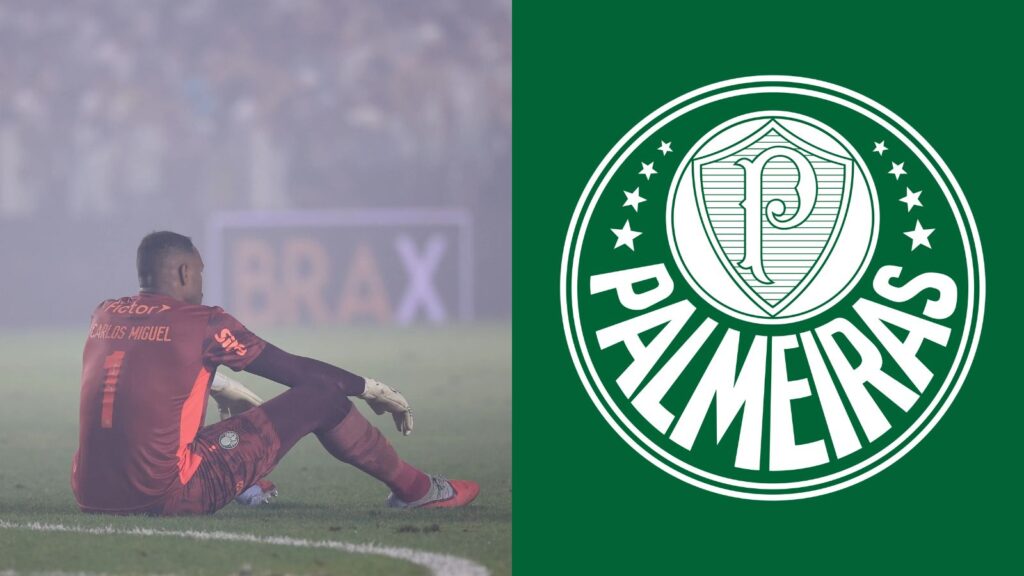 Capas para matérias (51)