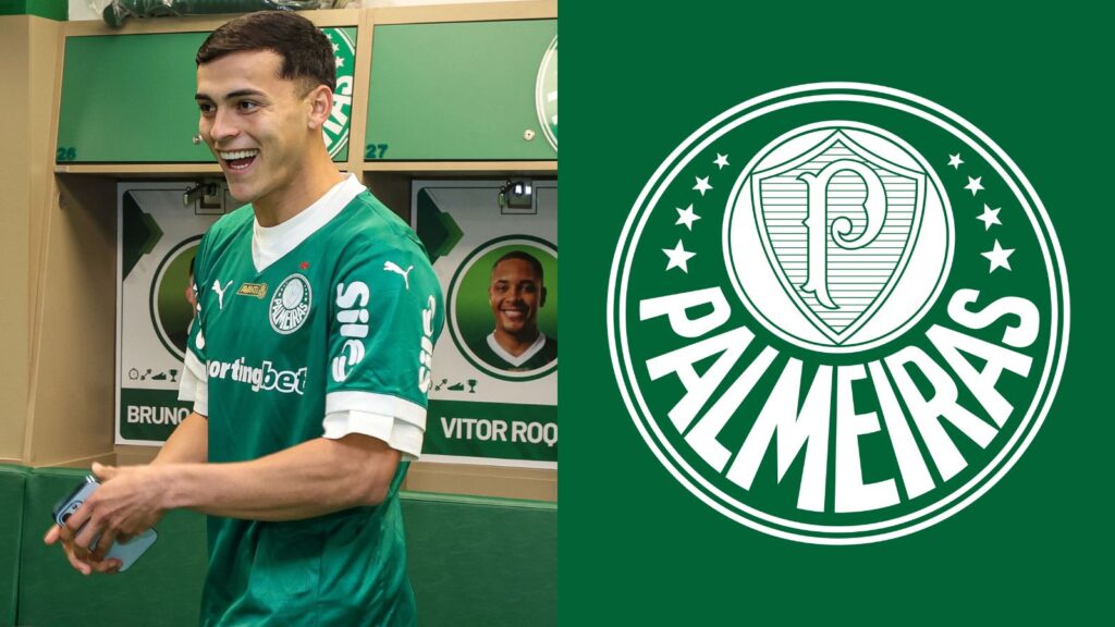 Capas para matérias (52)