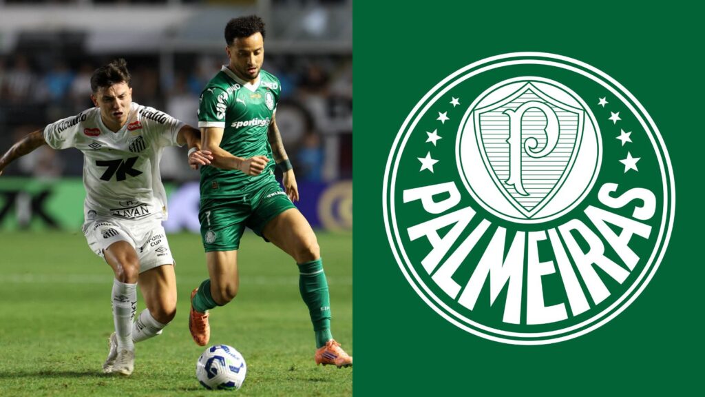 Capas para matérias (55)