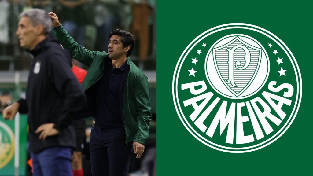 Capas para matérias (56)