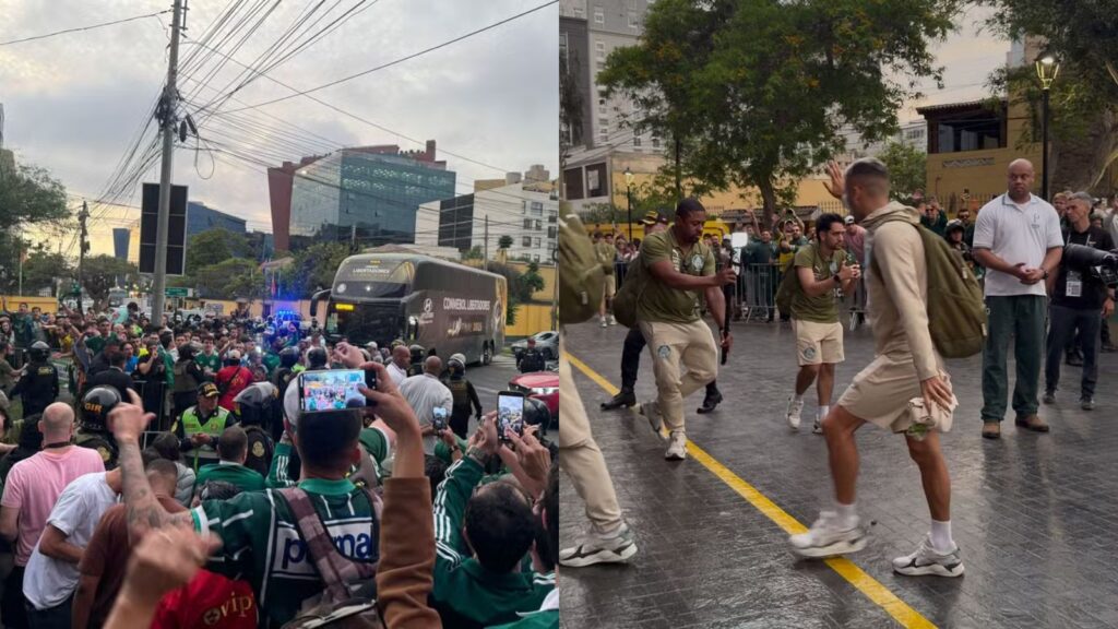 Capas para matérias (56)