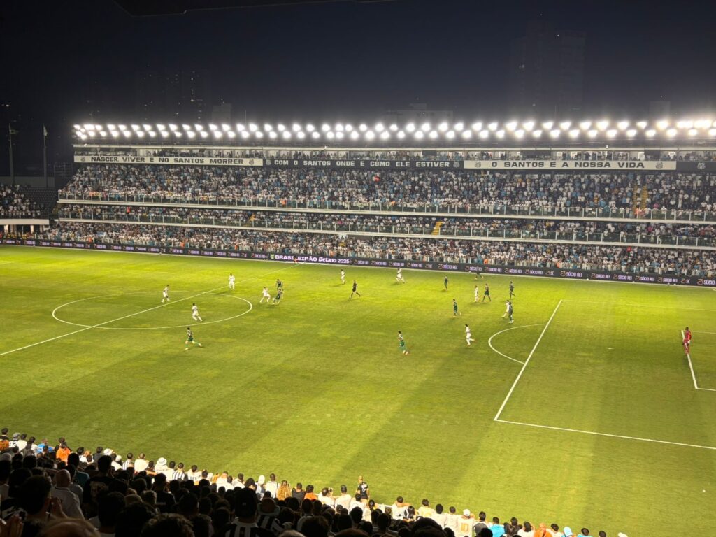 Foto: Luis Gustavo Marine - Nosso Palmeiras