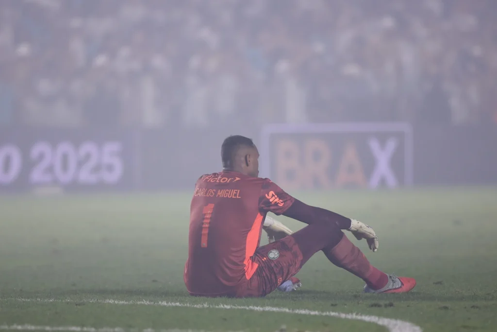 Foto: Ettore Chiereguini/AGIF - palmeiras