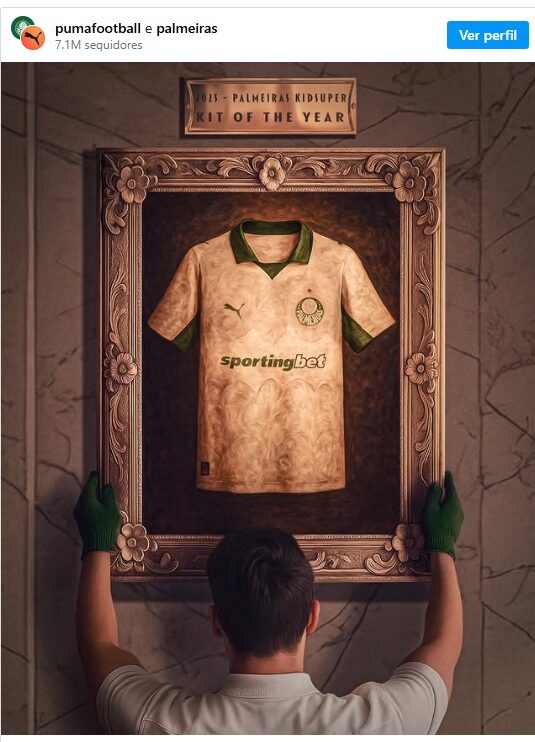 Foto: Redes Sociais - palmeiras