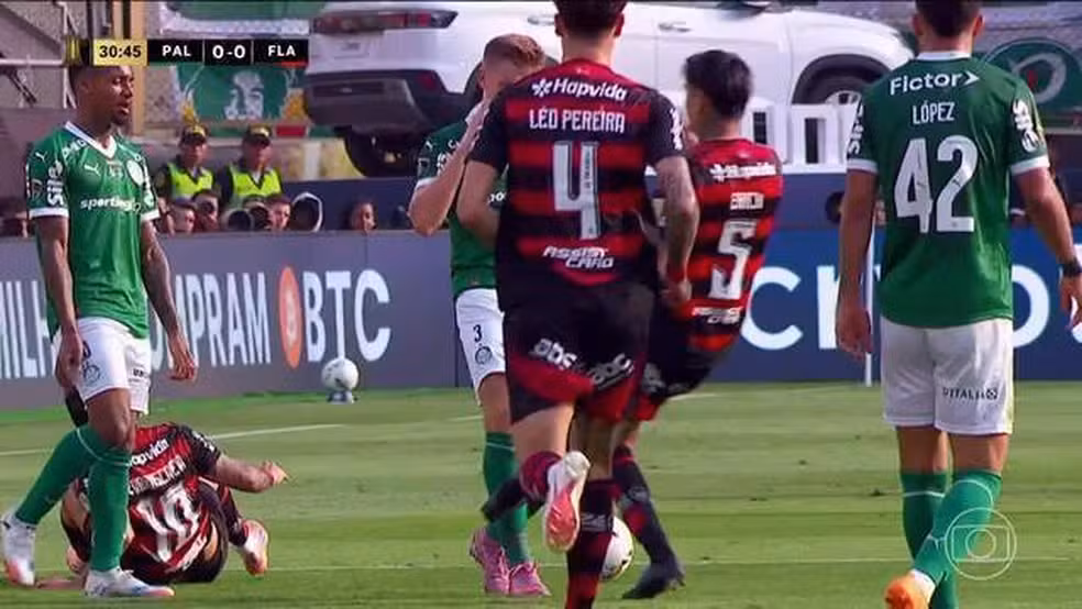 Foto: Reprodução TV Globo - Palmeiras