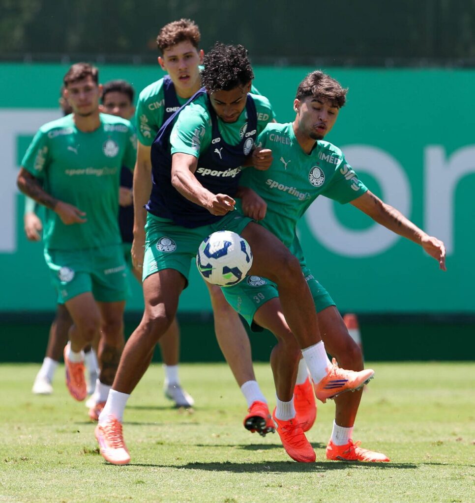 Foto: César Greco / Palmeiras