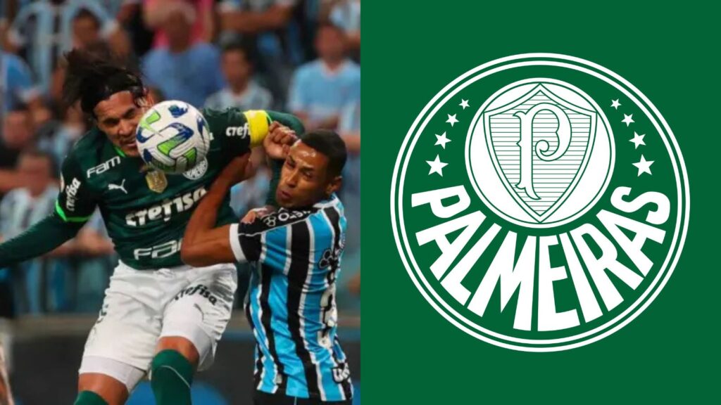 Capas para matérias (1)