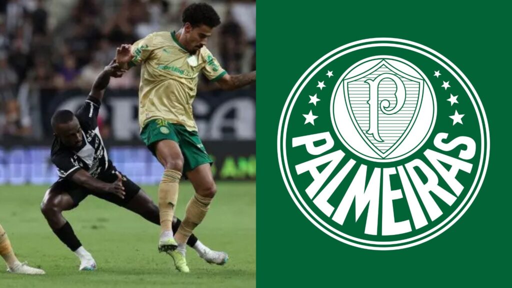 Capas para matérias (2)