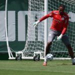 Foto: César Greco - Palmeiras