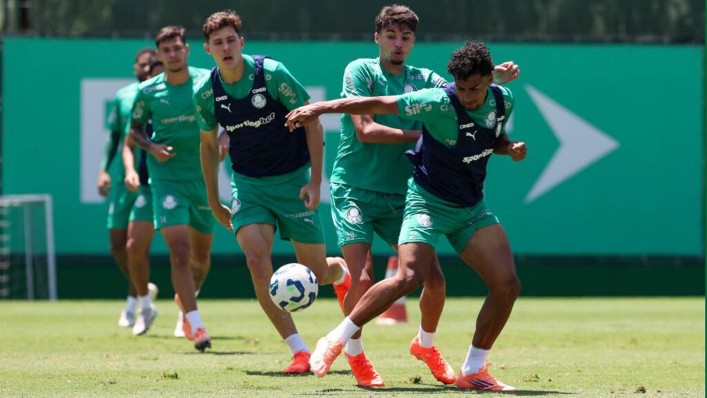 Foto: César Greco - Palmeiras