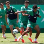 Foto: César Greco - Palmeiras