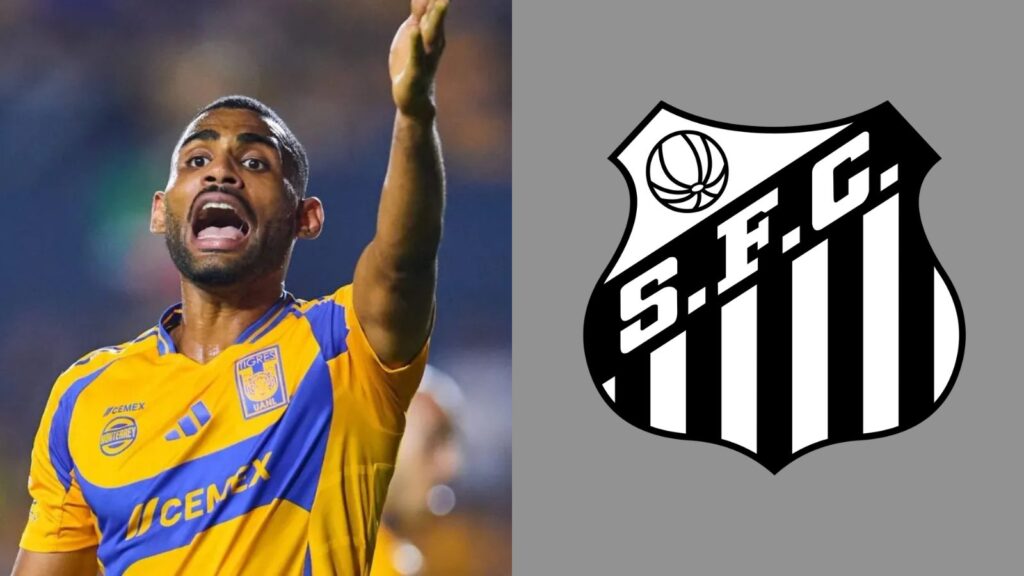 Capas para matérias – 2025-12-14T101226.289