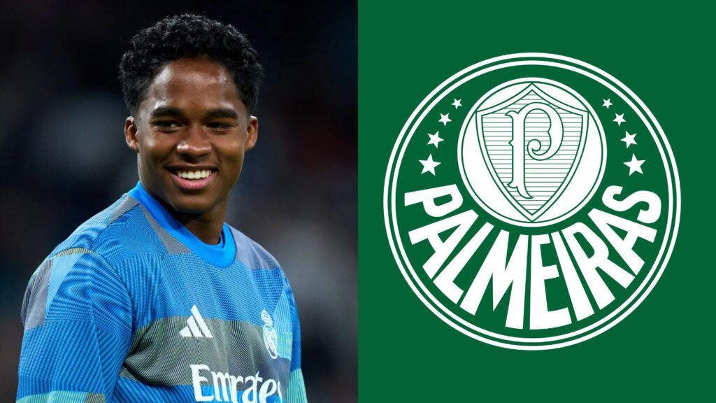 Capas para matérias (48)