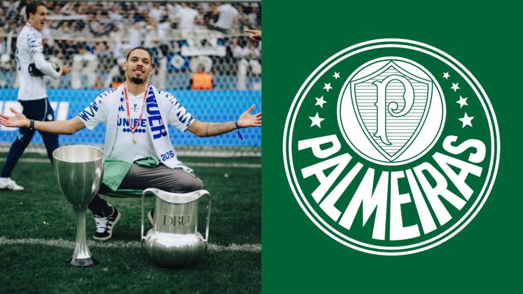 Capas para matérias (58)