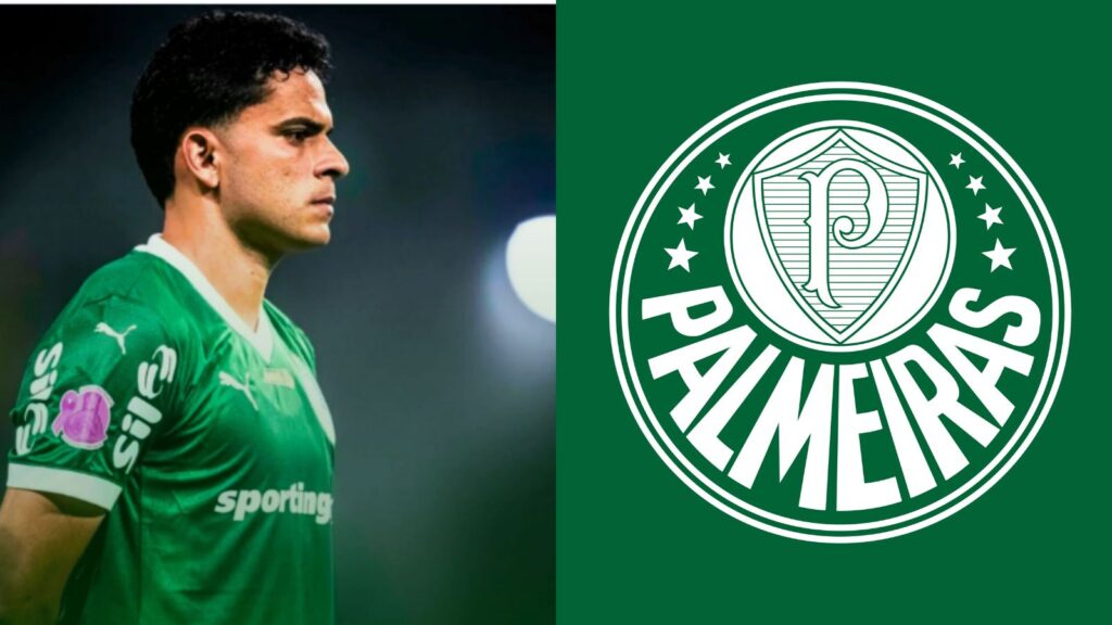 Capas para matérias (62)