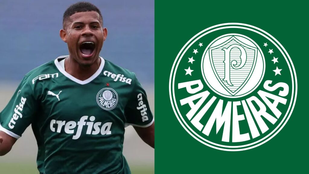 Capas para matérias (68)