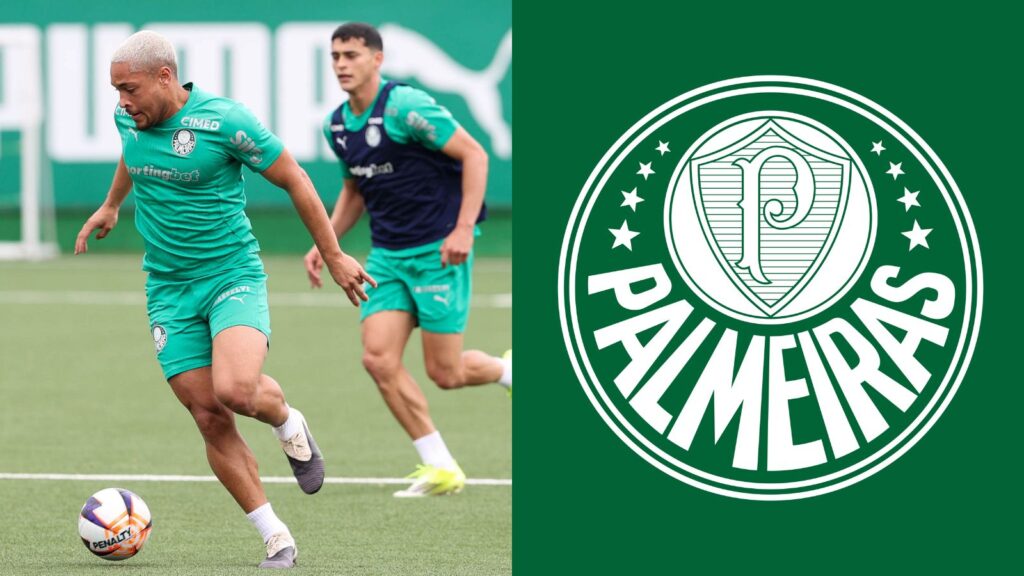 Capas para matérias (10)