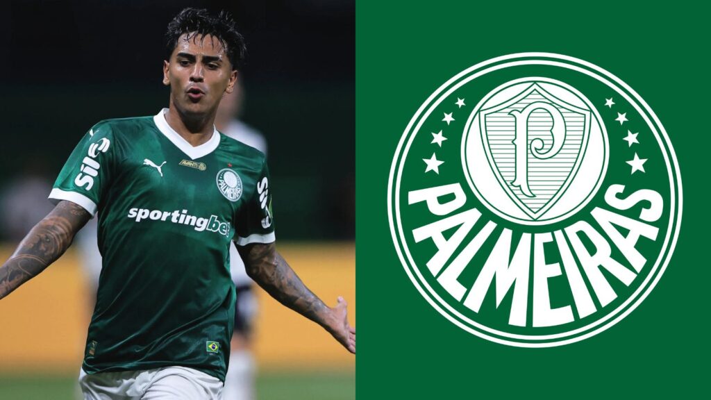 Capas para matérias (15)