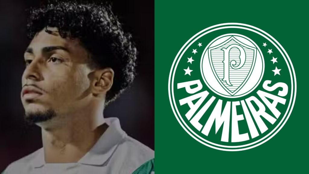 Capas para matérias (22)