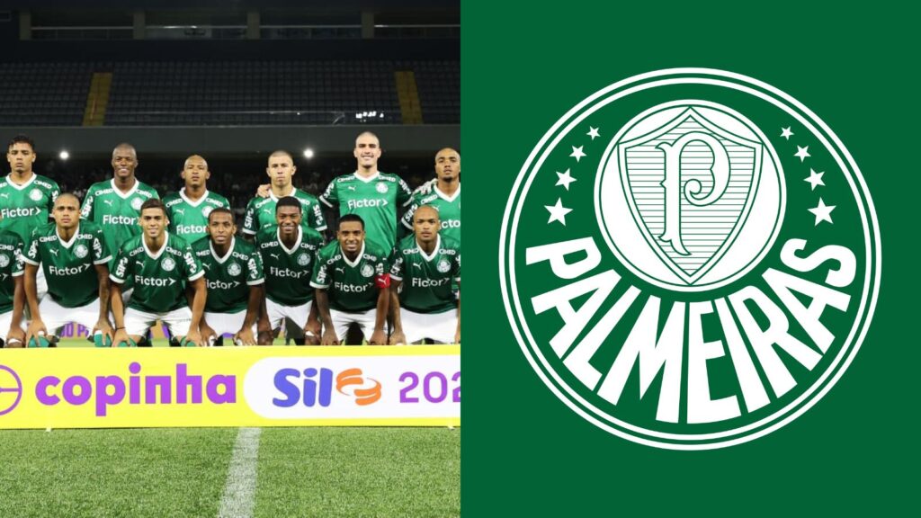 Capas para matérias (28)