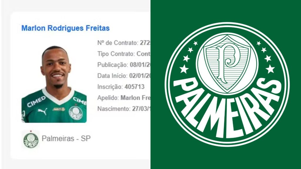 Capas para matérias (39)