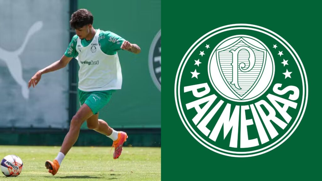 Capas para matérias (50)