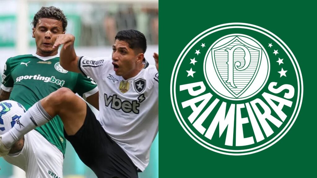 Capas para matérias (6)