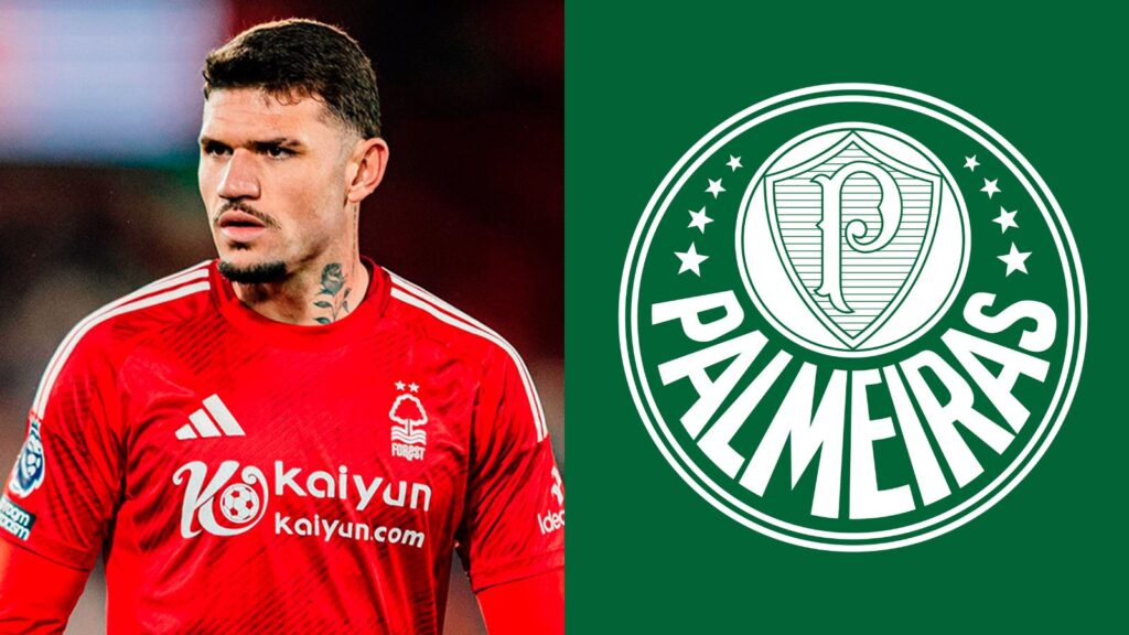 Capas para matérias (86)