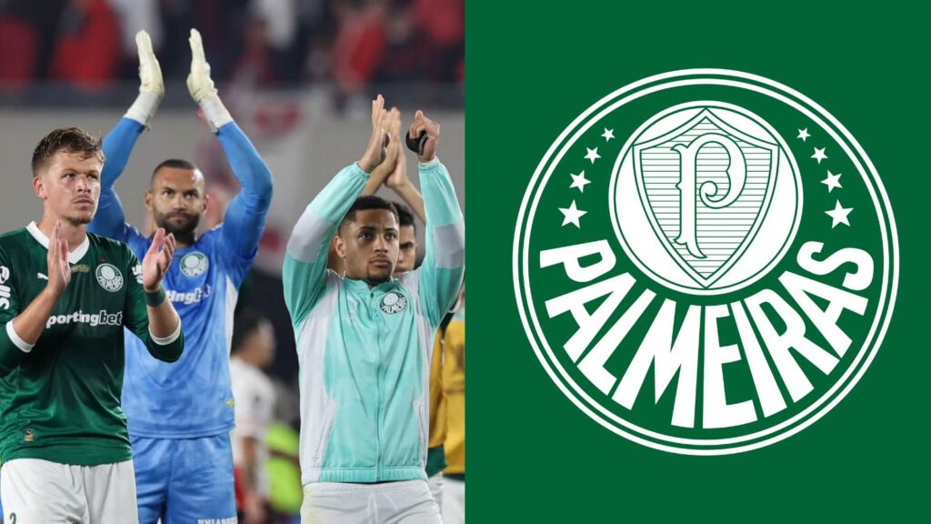 Capas para matérias (96)