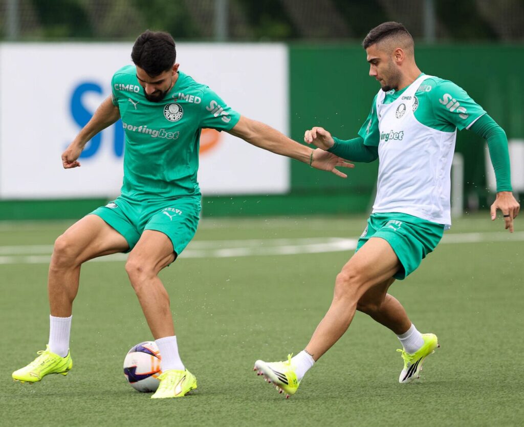 Foto: César Greco / palmeiras