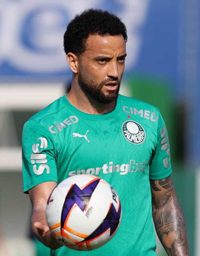 Foto: Cesar Greco palmeiras