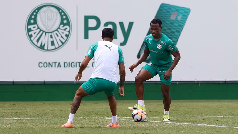 Foto: Cesar Greco / Palmeiras