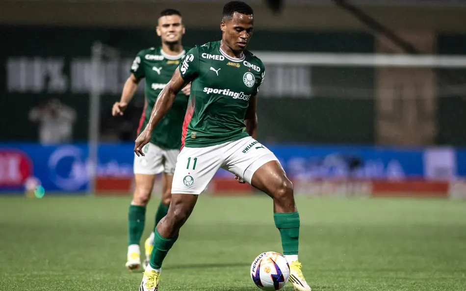 Foto: Guilherme Veiga/PXIMAGES palmeiras