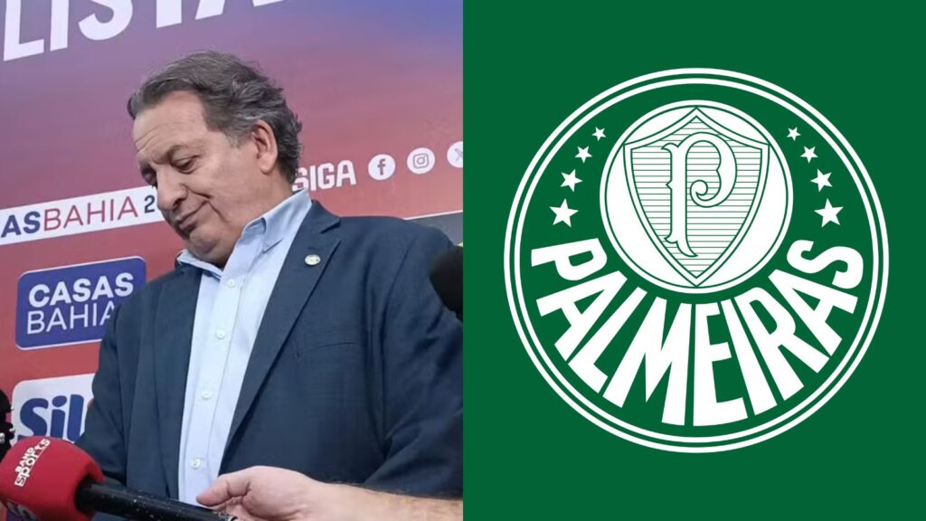 Capas para matérias