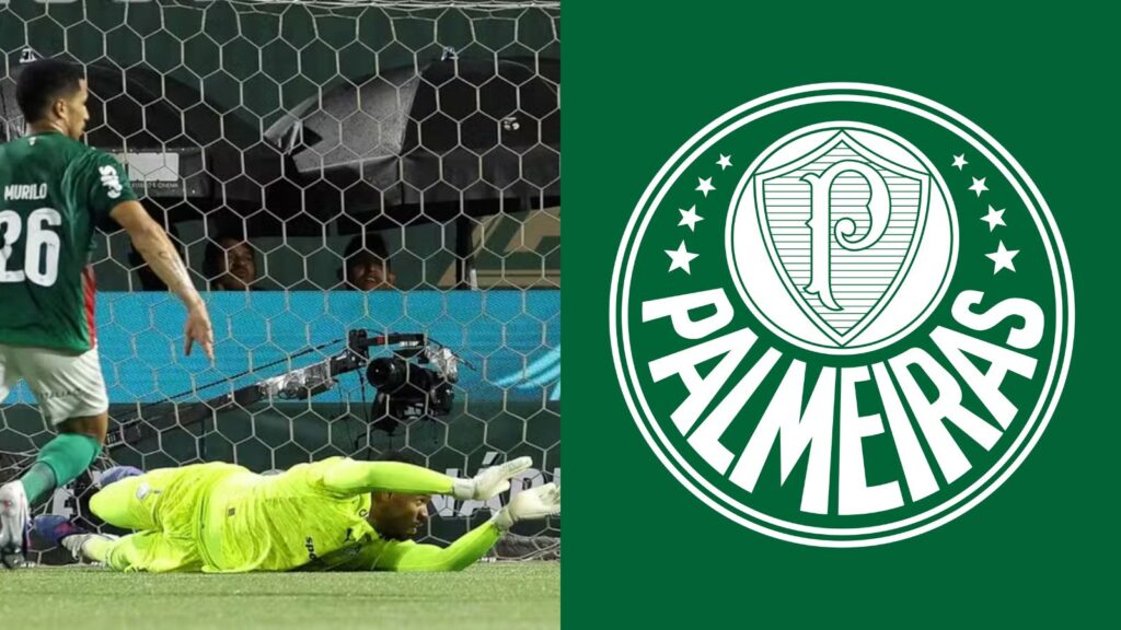 Capas para matérias (33)