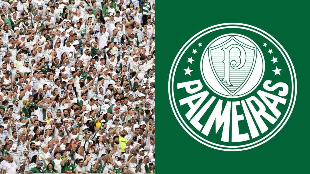 Capas para matérias (45)