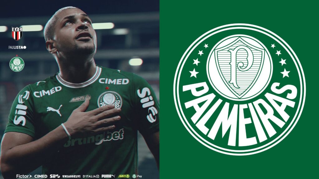 Capas para matérias (54)