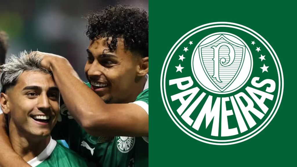 Capas para matérias (60)